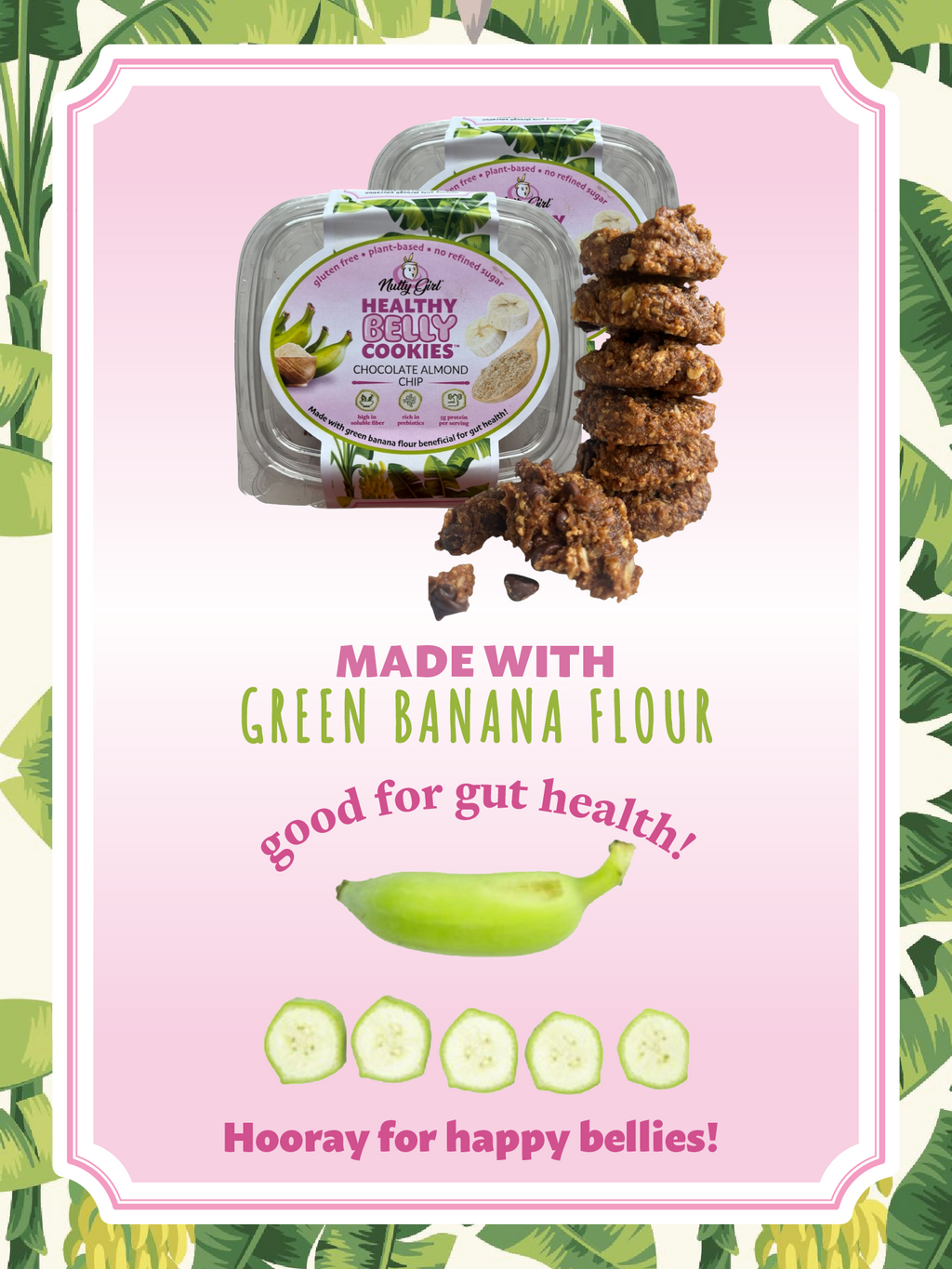 Healthy Belly Cookies™️Prebiotic Cookies Good for Gut Health! | Soft Oatmeal Cookies